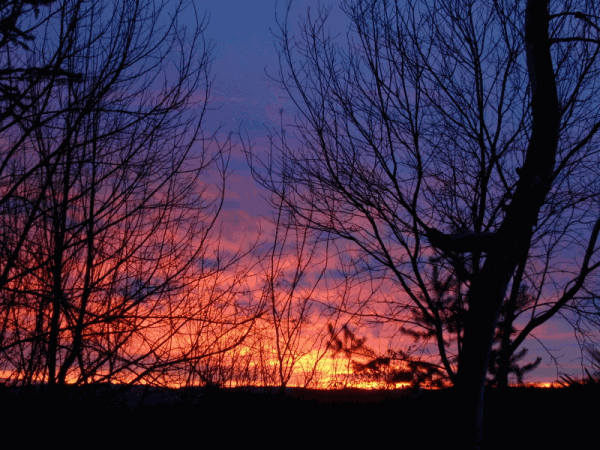 zonsopgang 3 januari 2010